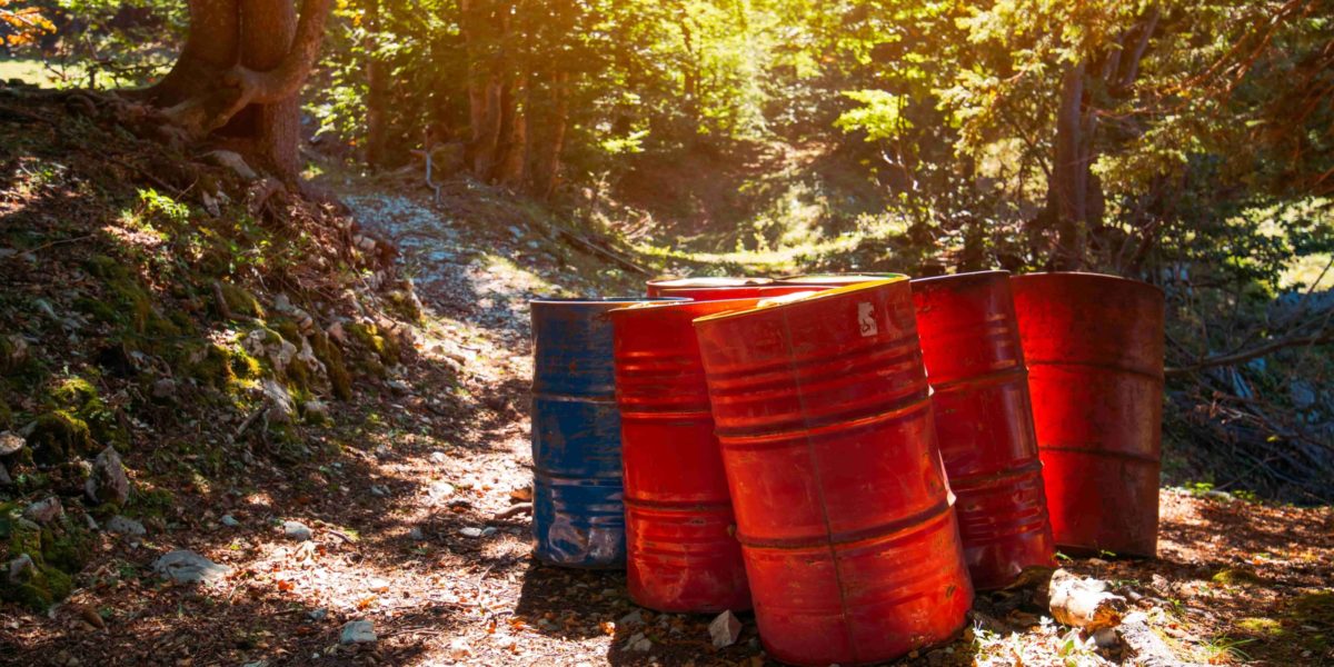 toxic-waste-barrels-in-the-forest-PRE8XS5-min